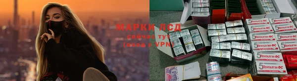 прущие крисы Кукмор