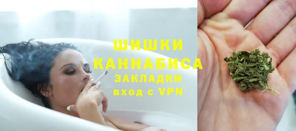 хмурый Осинники