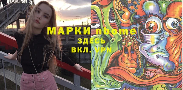 mix Богородицк