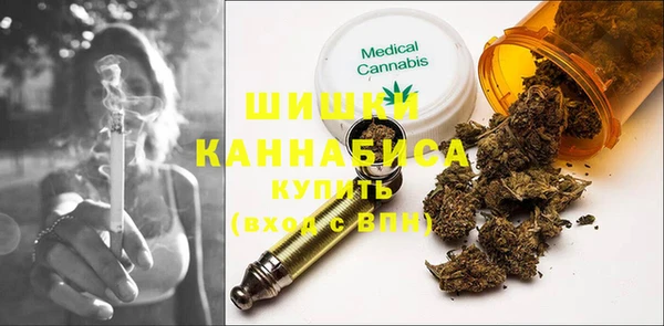 spice Богданович