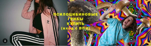 прущие крисы Кукмор